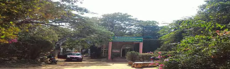 Indian Institute of Ayurvedic Medicine and Research
 - Campus