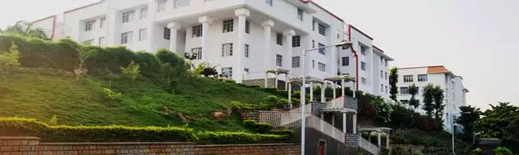 National Hill View Public School - campus